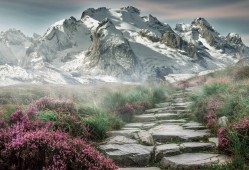 惩戒魅魔怎么玩法?惩戒魅魔前期攻略?